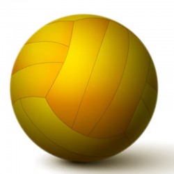 Volley Ball