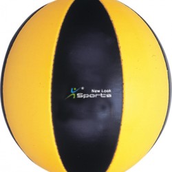  NLS-1412