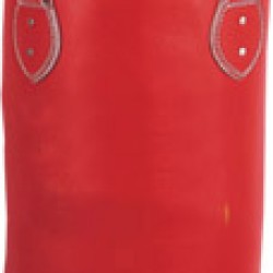  NLS-1431