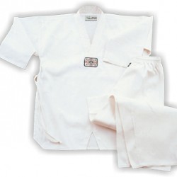  NLS-1009