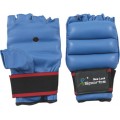 Grappling / MMA Gloves