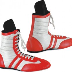  NLS-1360
