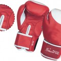 Boxing Gloves