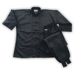  NLS-1039