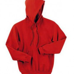 NLS-2002